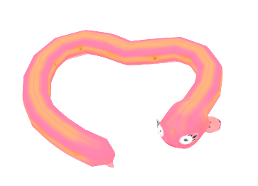 Amore eel