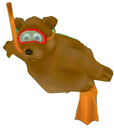 Bear acuda