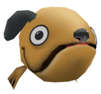 Dog fish