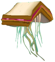 Jellyfish